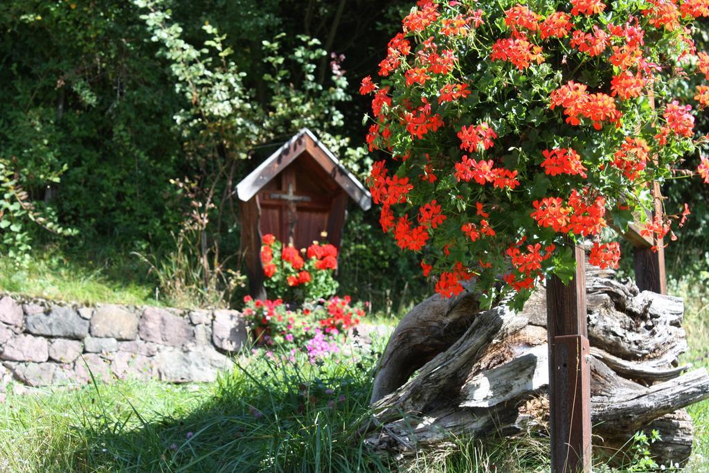 Ferienbauernhof Masunerhof Fie allo Sciliar Exterior photo